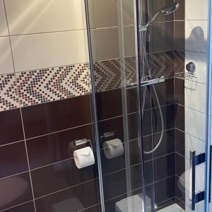 logis-auberge-du-herisson-salle-de-bains-chaux-du-dombief-730720