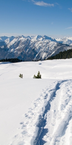 Beautiful winter scenery with footpath