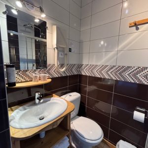 Salle de bain compacte avec murs carrelés, un lavabo sur meuble en bois avec étagères ouvertes, un miroir éclairé au-dessus, un sèche-cheveux mural, et des toilettes à côté. Un petit panier à déchets et un porte-papier toilette sont visibles, avec un sol en lames de bois.